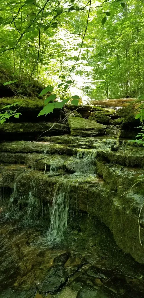 6045 Green Road Bloomington Springs TN 38545