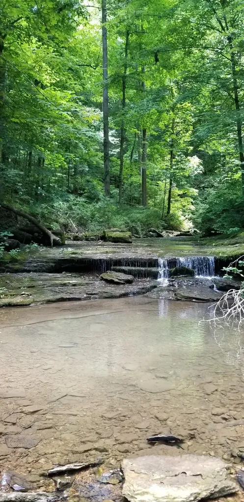 6045 Green Road Bloomington Springs TN 38545