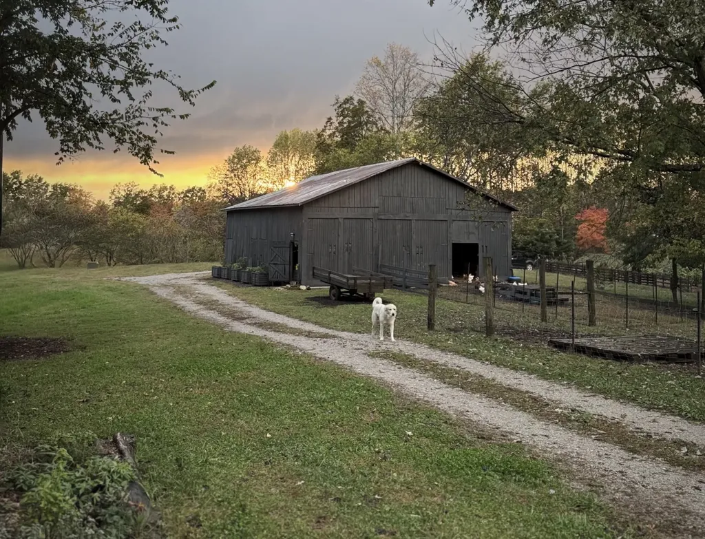 6045 Green Road Bloomington Springs TN 38545