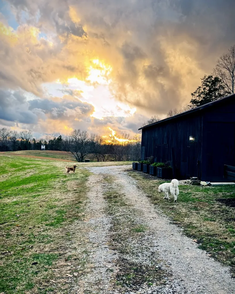 6045 Green Road Bloomington Springs TN 38545