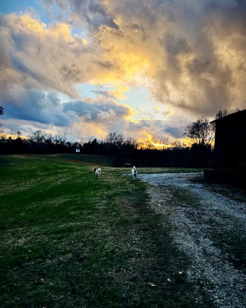6045 Green Road Bloomington Springs TN 38545