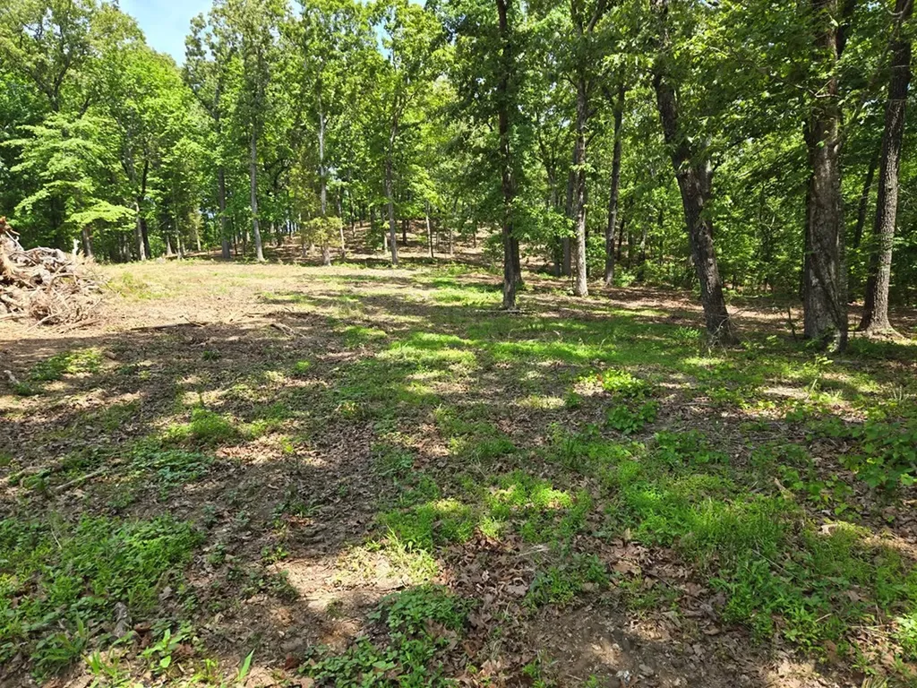 730 Swan Bay Drive Buchanan TN 38222