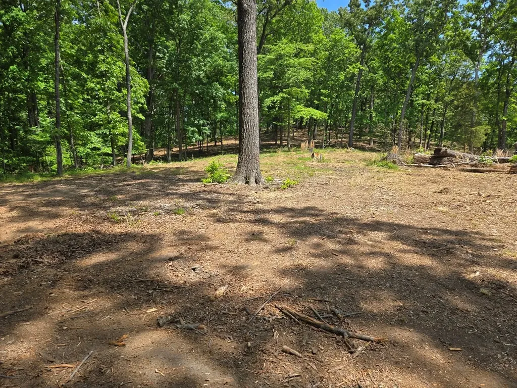 730 Swan Bay Drive Buchanan TN 38222