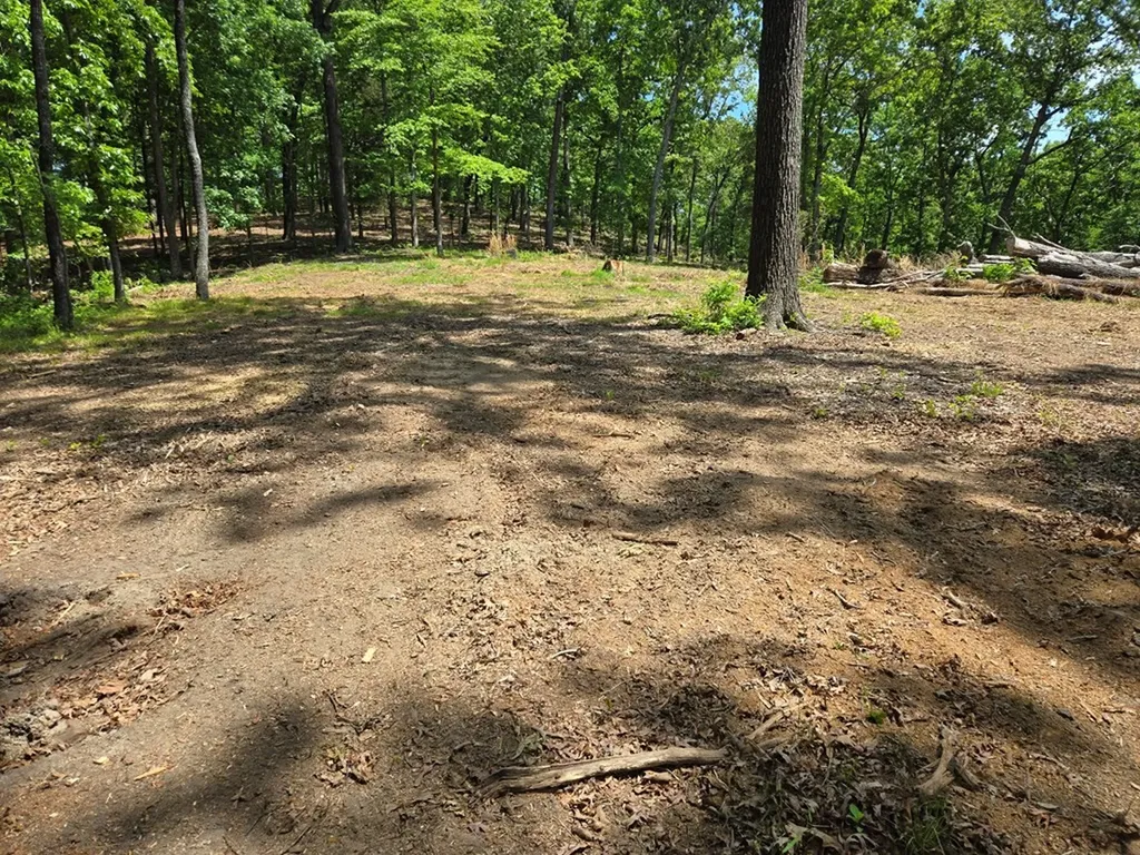 730 Swan Bay Drive Buchanan TN 38222