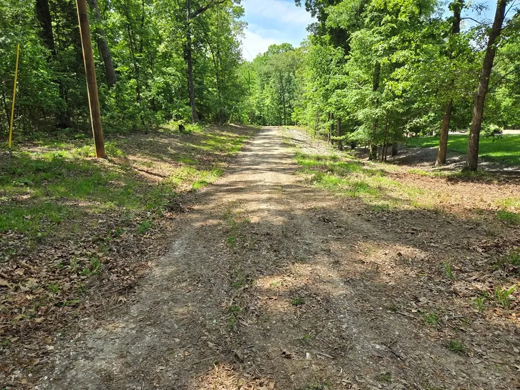 730 Swan Bay Drive Buchanan TN 38222