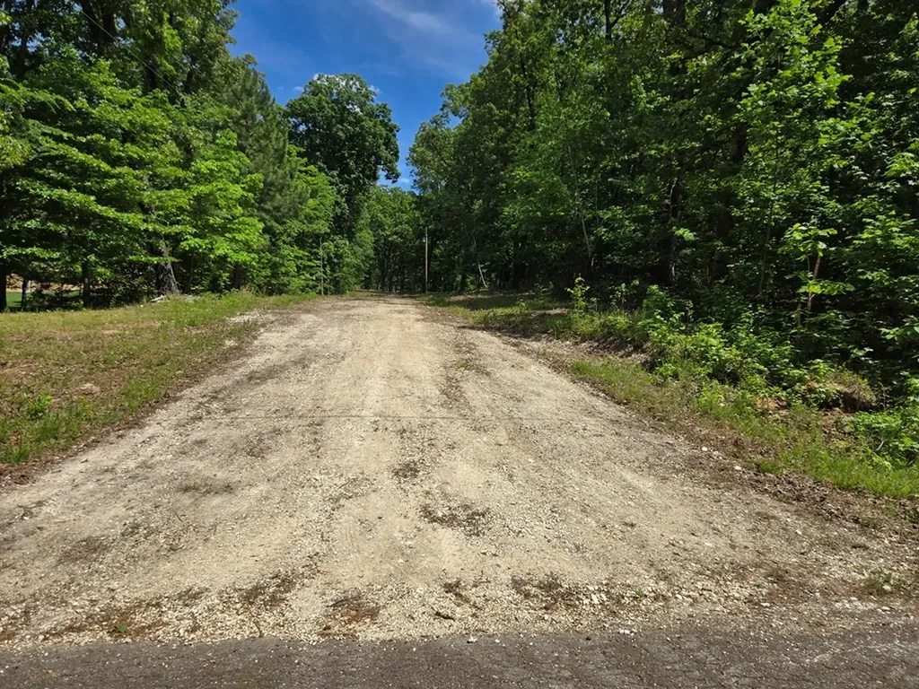 730 Swan Bay Drive Buchanan TN 38222