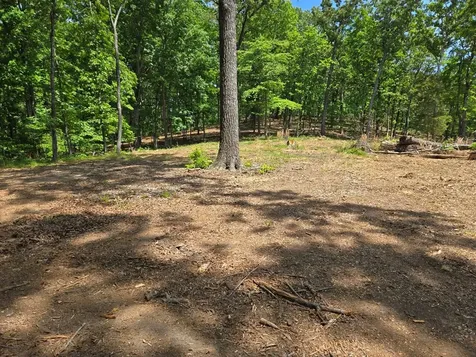 730 Swan Bay Drive Buchanan TN 38222