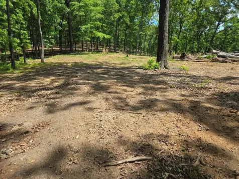 730 Swan Bay Drive Buchanan TN 38222