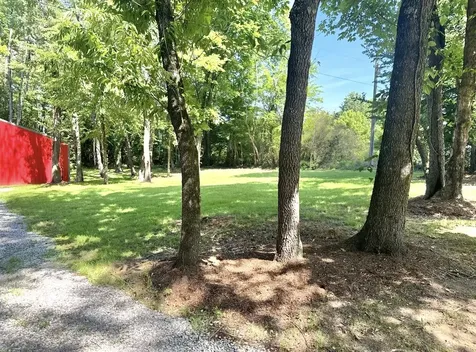 115 N Adams Street Adams TN 37010