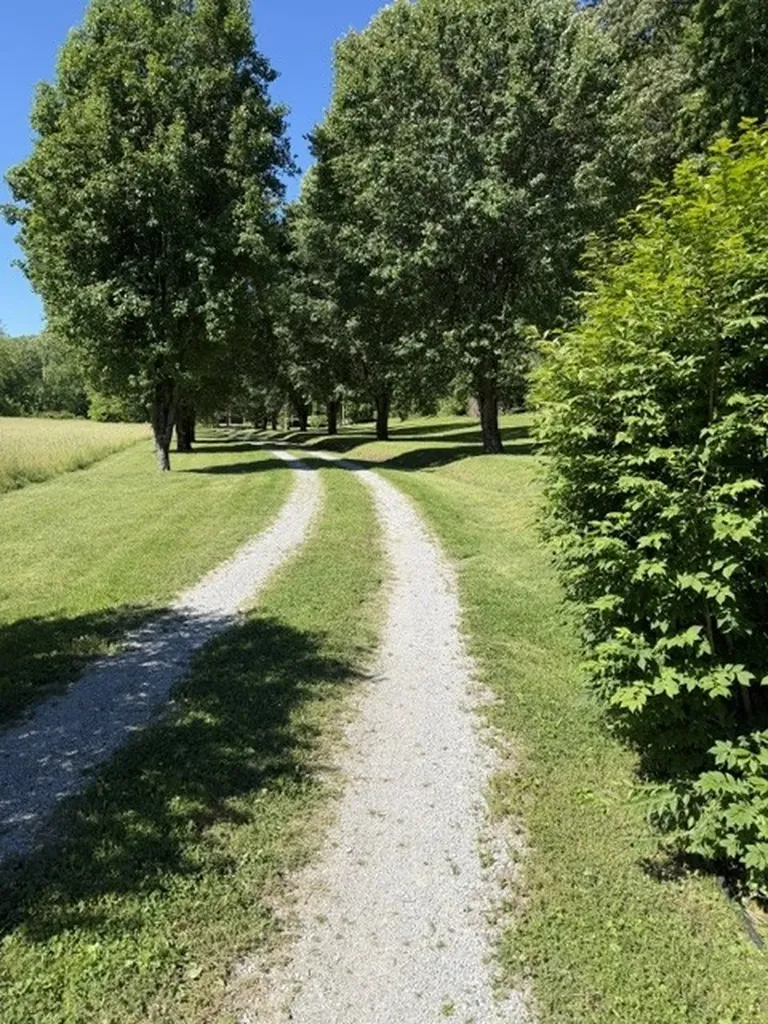 1000 Sendero Bad Dickson TN 37055