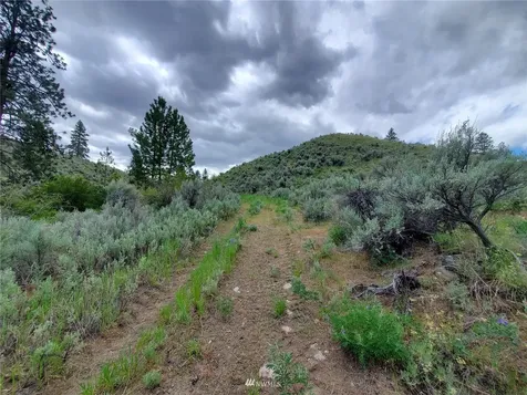 0 Tunk Creek Road Riverside WA 98849