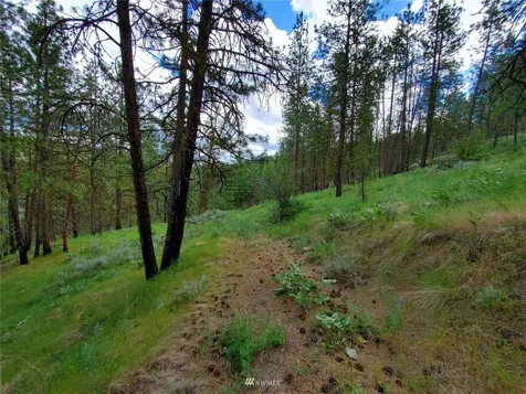 0 Tunk Creek Road Riverside WA 98849
