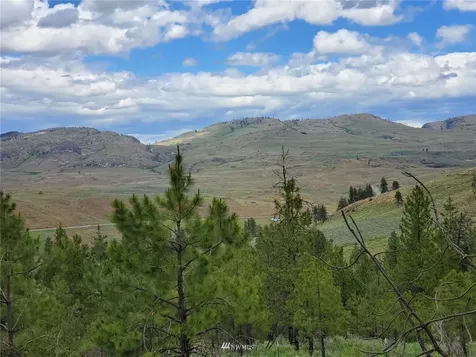0 Tunk Creek Road Riverside WA 98849