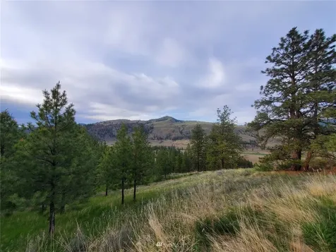 0 Tunk Creek Road Riverside WA 98849