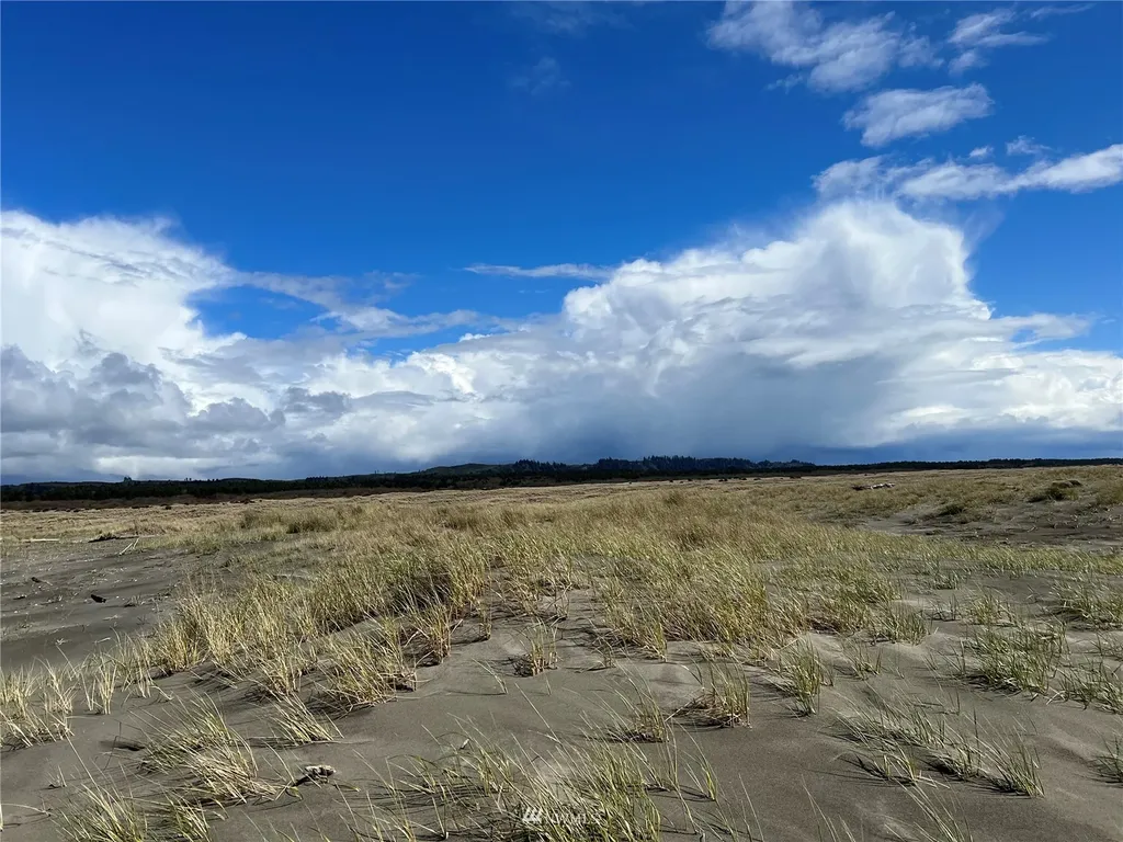 30 S State Route 105 Grayland WA 98547