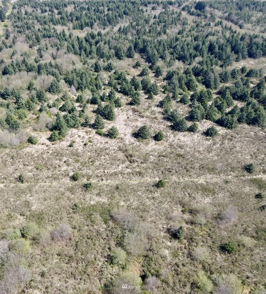 30 S State Route 105 Grayland WA 98547