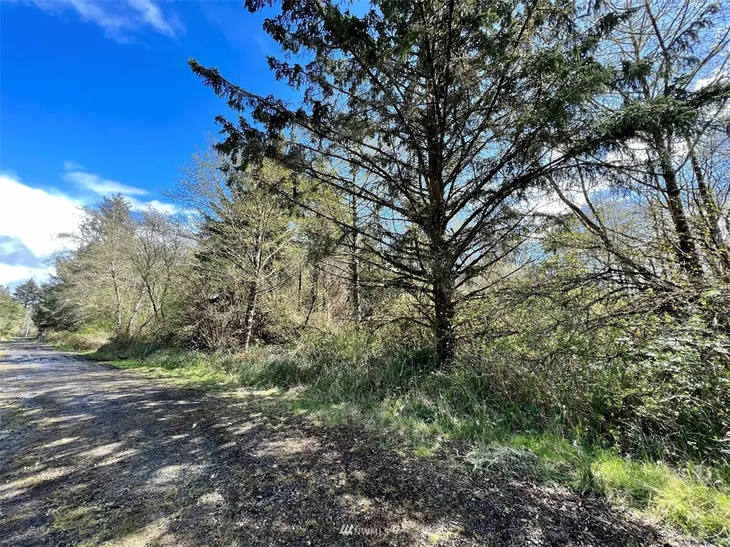 30 S State Route 105 Grayland WA 98547