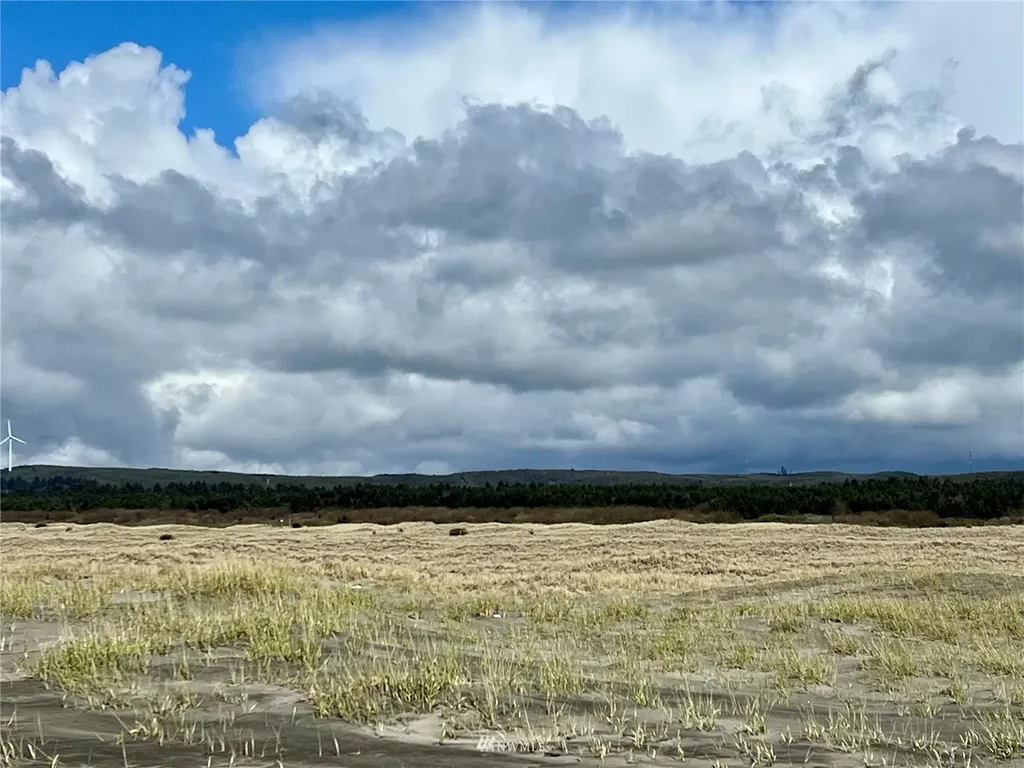 30 S State Route 105 Grayland WA 98547