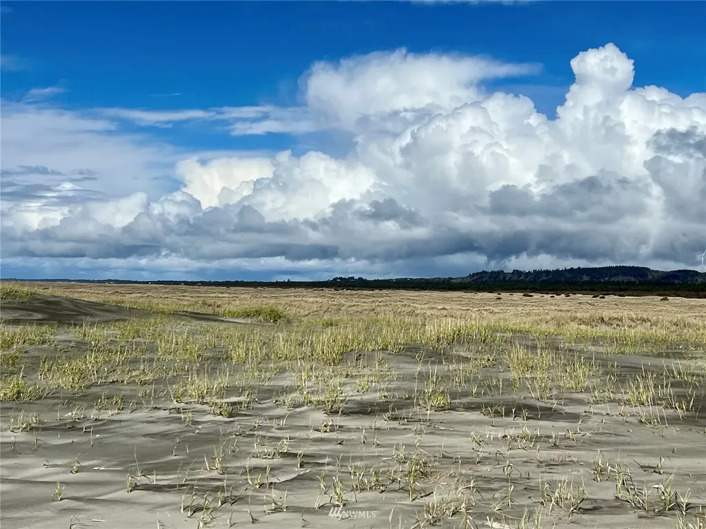 30 S State Route 105 Grayland WA 98547