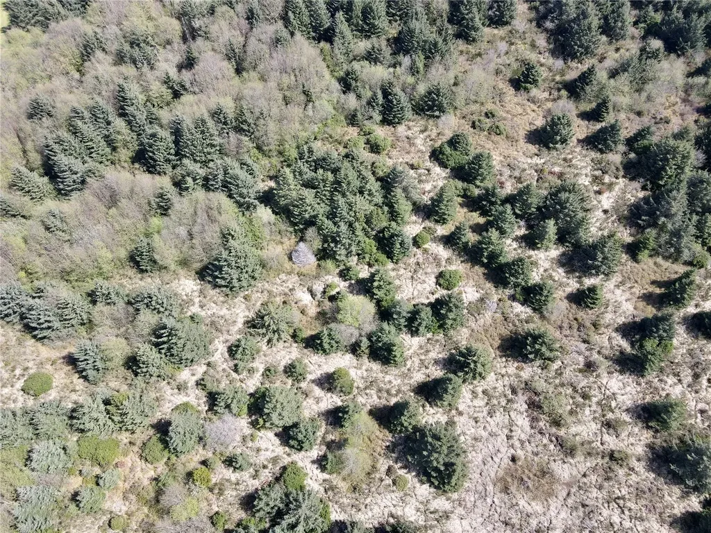30 S State Route 105 Grayland WA 98547