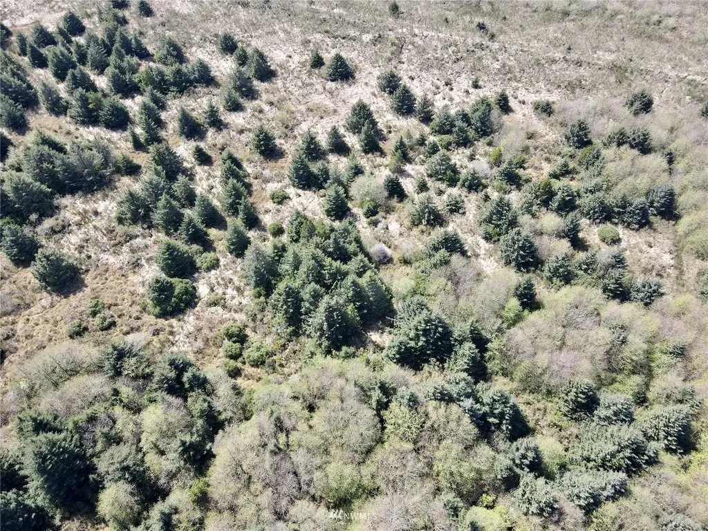 30 S State Route 105 Grayland WA 98547