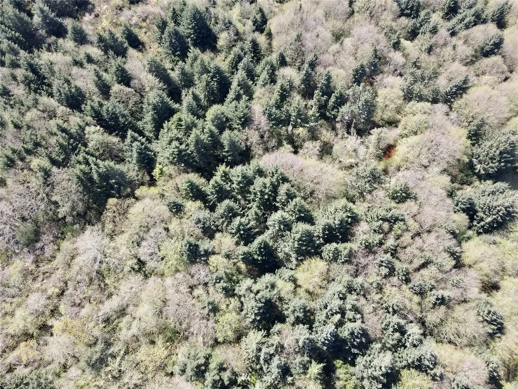 30 S State Route 105 Grayland WA 98547