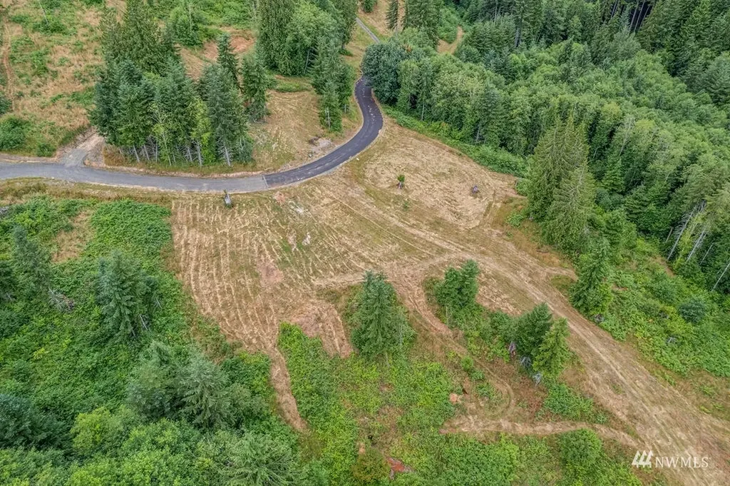 265 Bison Run Longview WA 98632