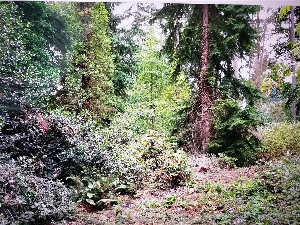 317 51st Avenue SW Federal Way WA 98023