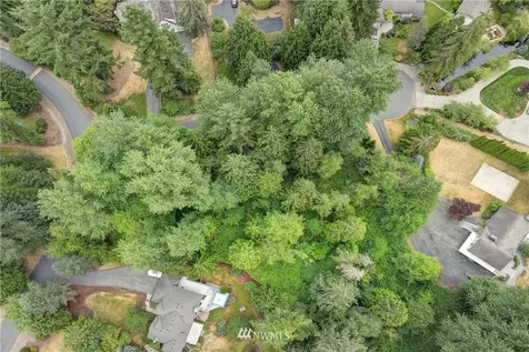 11217 167th Ct NE Redmond WA 98052