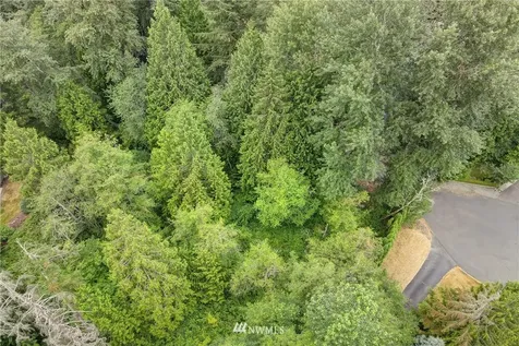 11217 167th Ct NE Redmond WA 98052