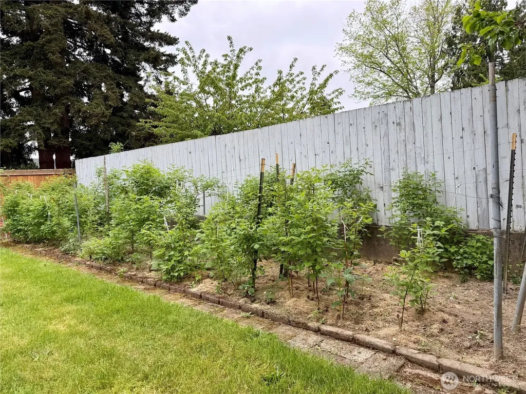13029 SE 206 Place Kent WA 98031