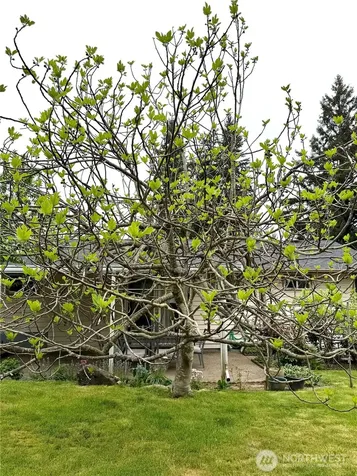 13029 SE 206 Place Kent WA 98031