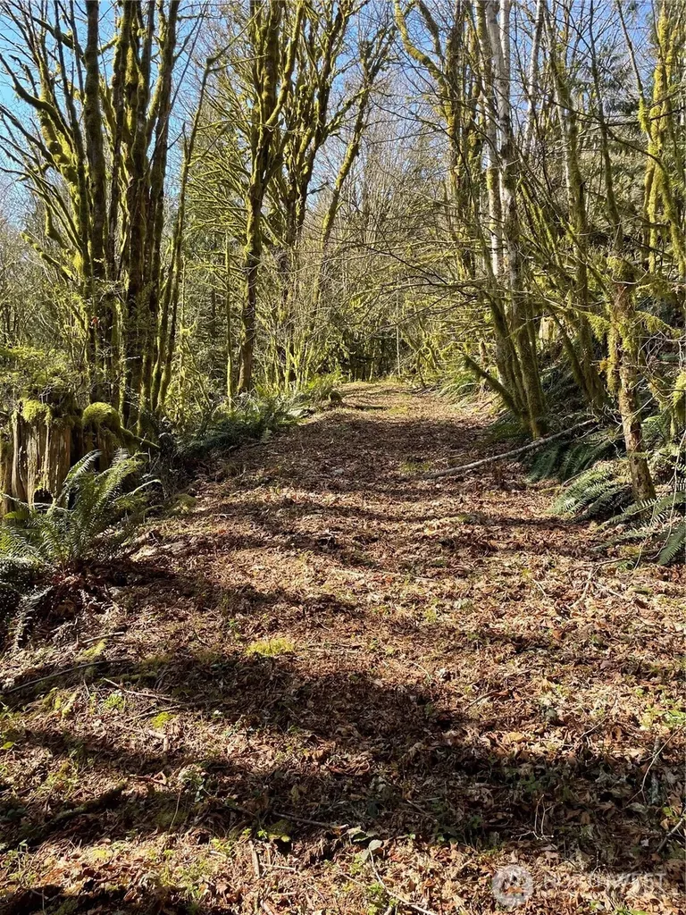 Arlington WA 98223