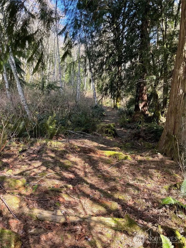 Arlington WA 98223