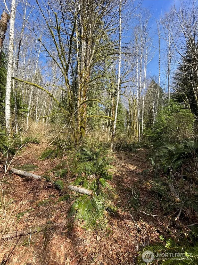 Arlington WA 98223