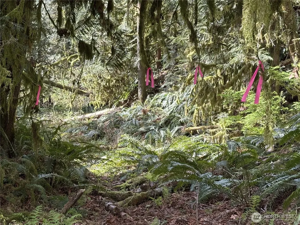 Arlington WA 98223