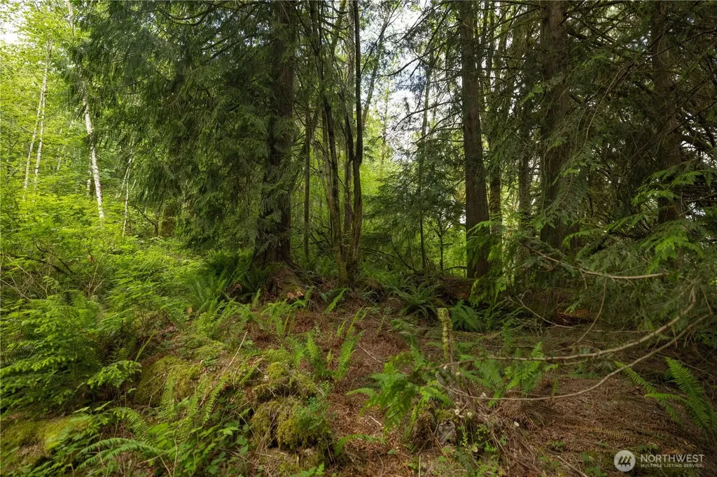 Arlington WA 98223