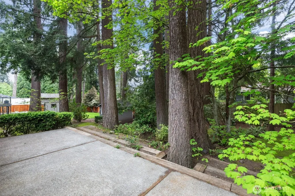 16438 SE 22nd Street Bellevue WA 98008