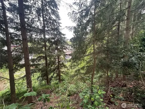 6325 Evergreen Way Everett WA 98203