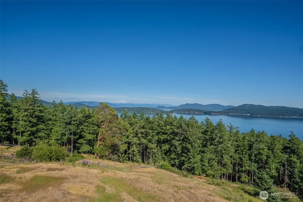 726 Pine Ridge Drive Orcas Island WA 98279
