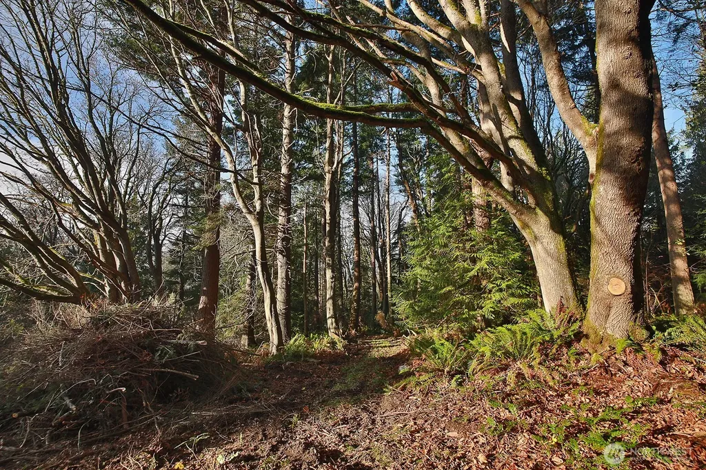 0 Cultus Bay Road Clinton WA 98236