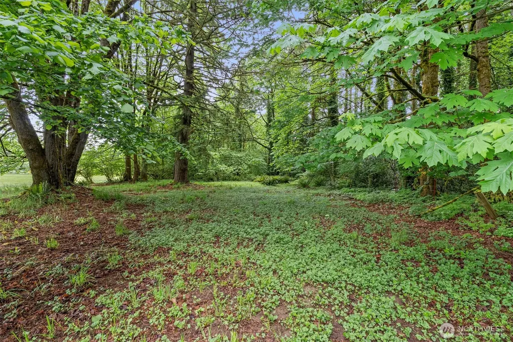 19132 Albany Street SW Rochester WA 98579