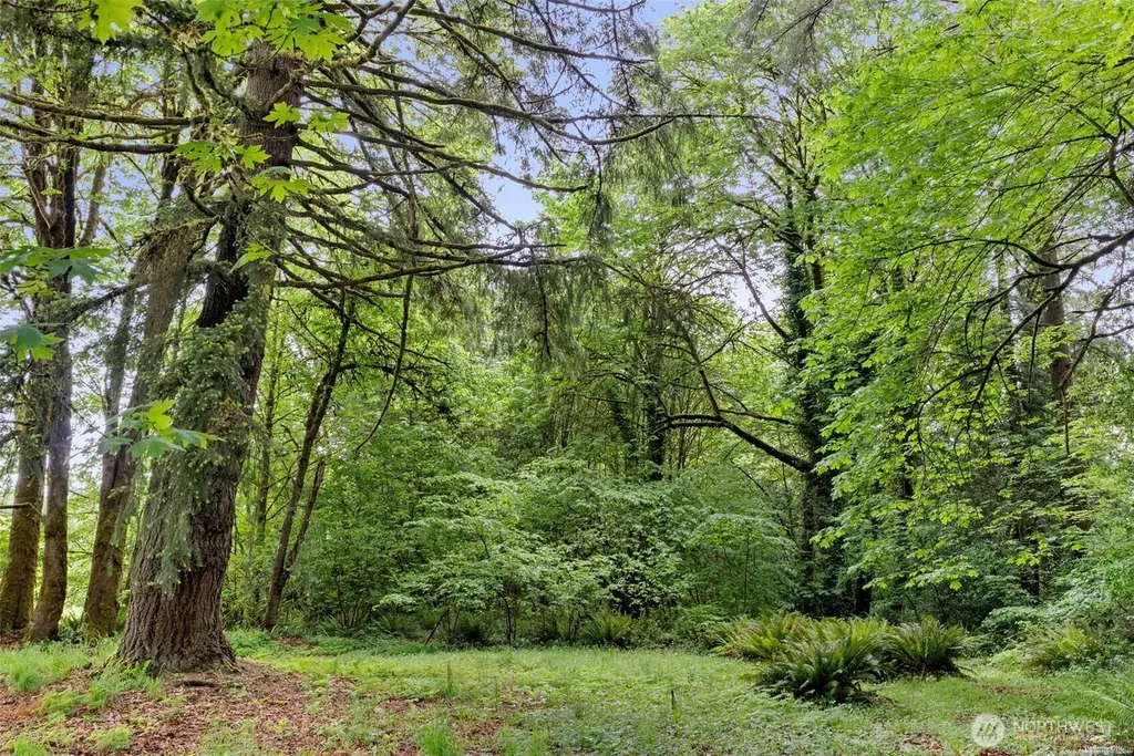 19132 Albany Street SW Rochester WA 98579