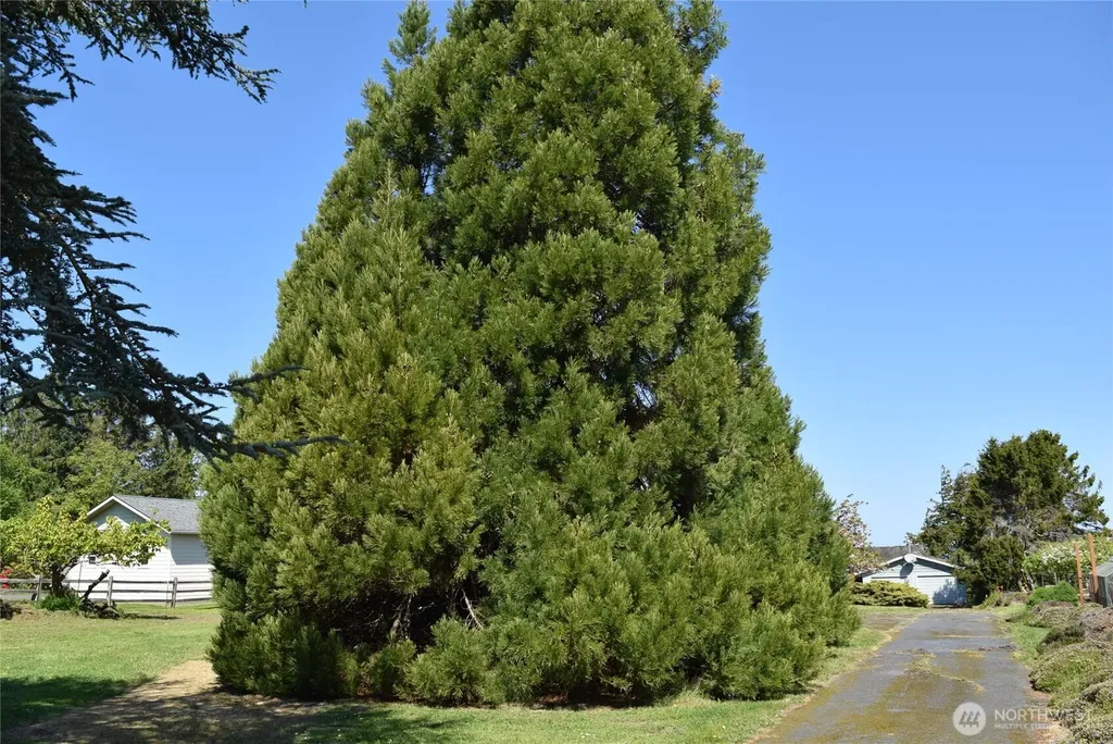 432 W Anderson Road Sequim WA 98382