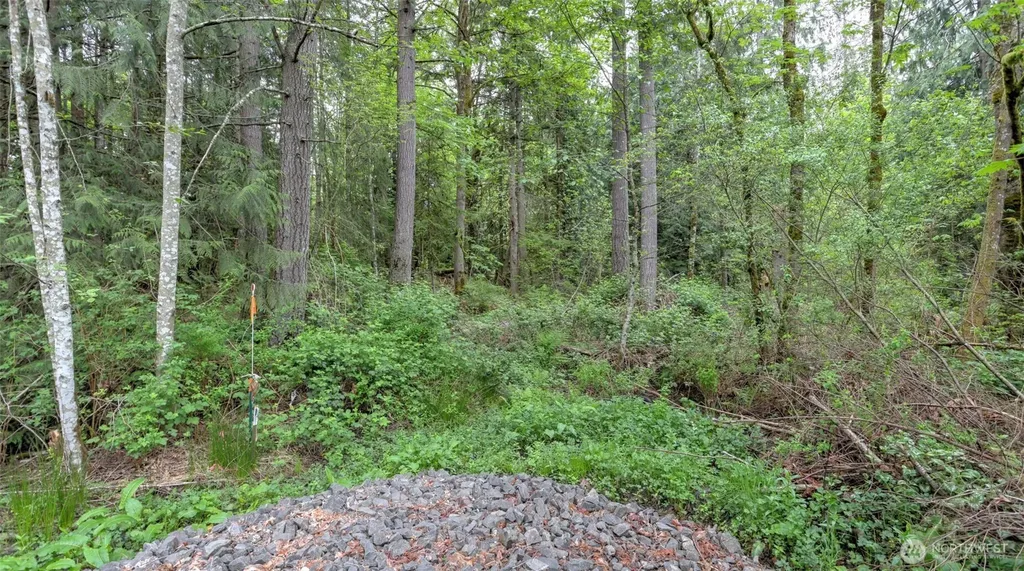 0 SE 311th Court Covington WA 98042