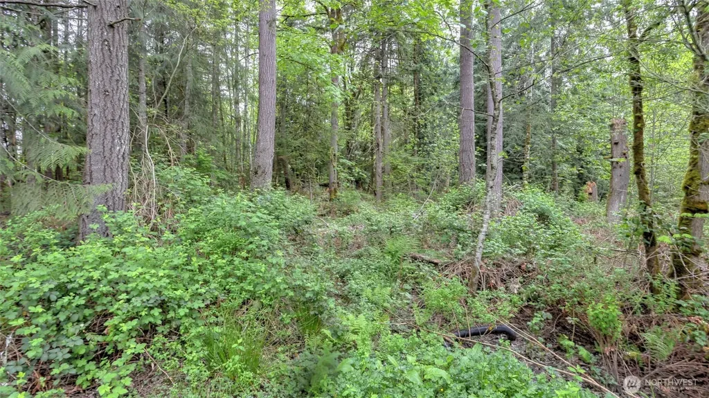 0 SE 311th Court Covington WA 98042