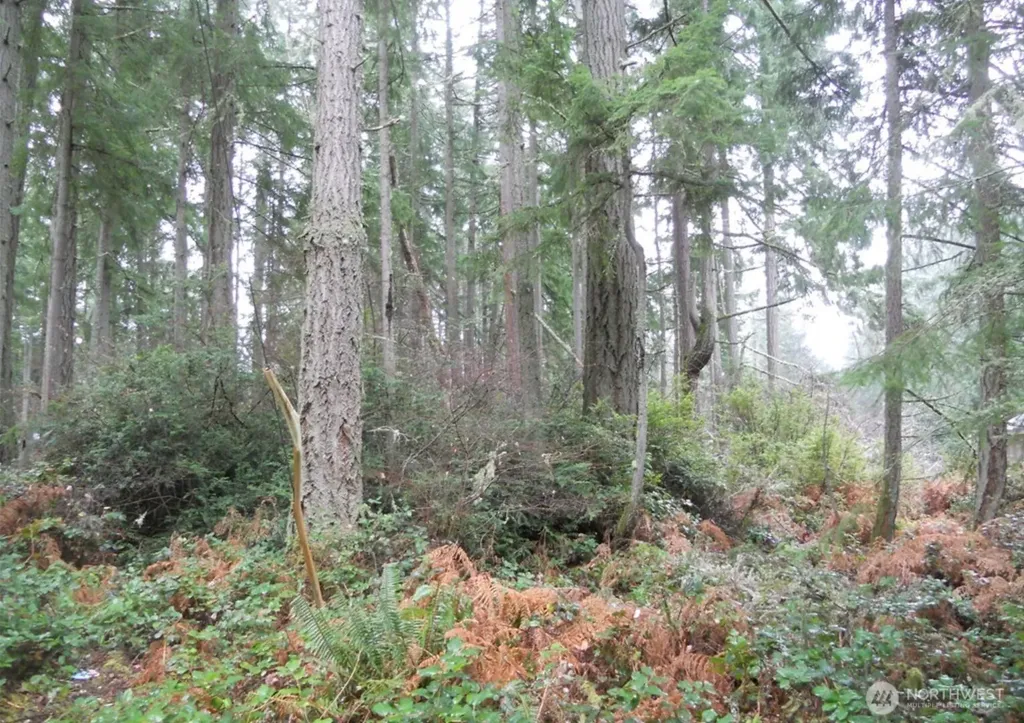10315 107th Avenue Court Anderson Island WA 98303