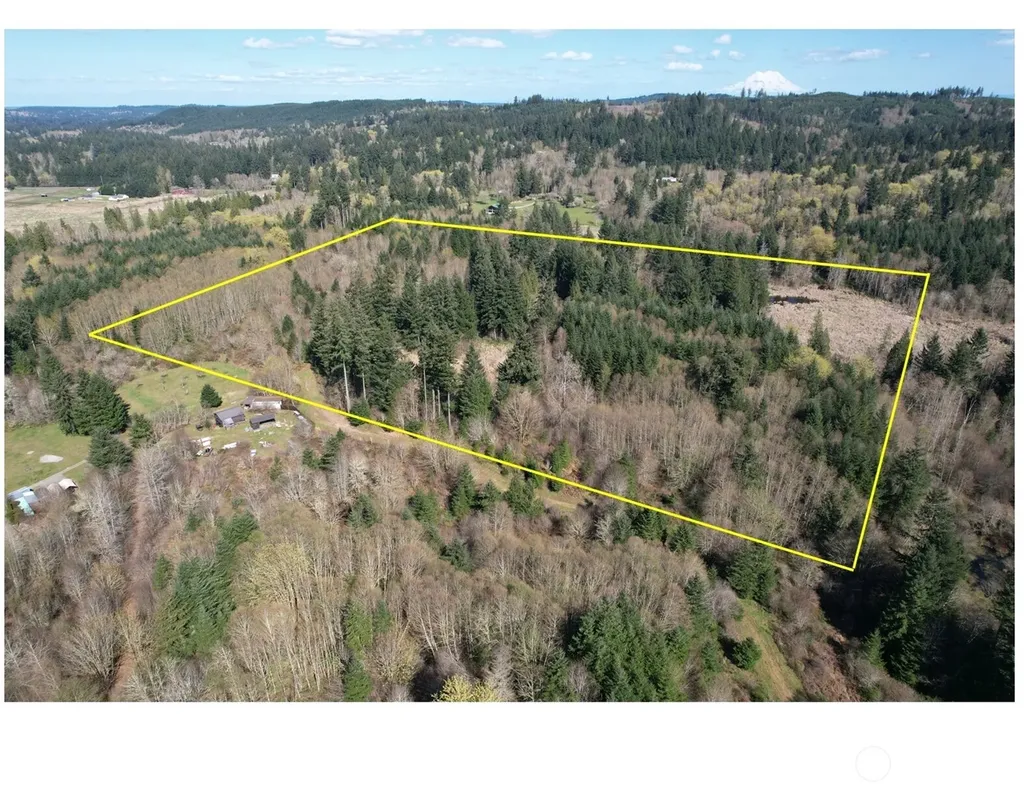 0 40 Acres 143rd Avenue SE Tenino WA 98589