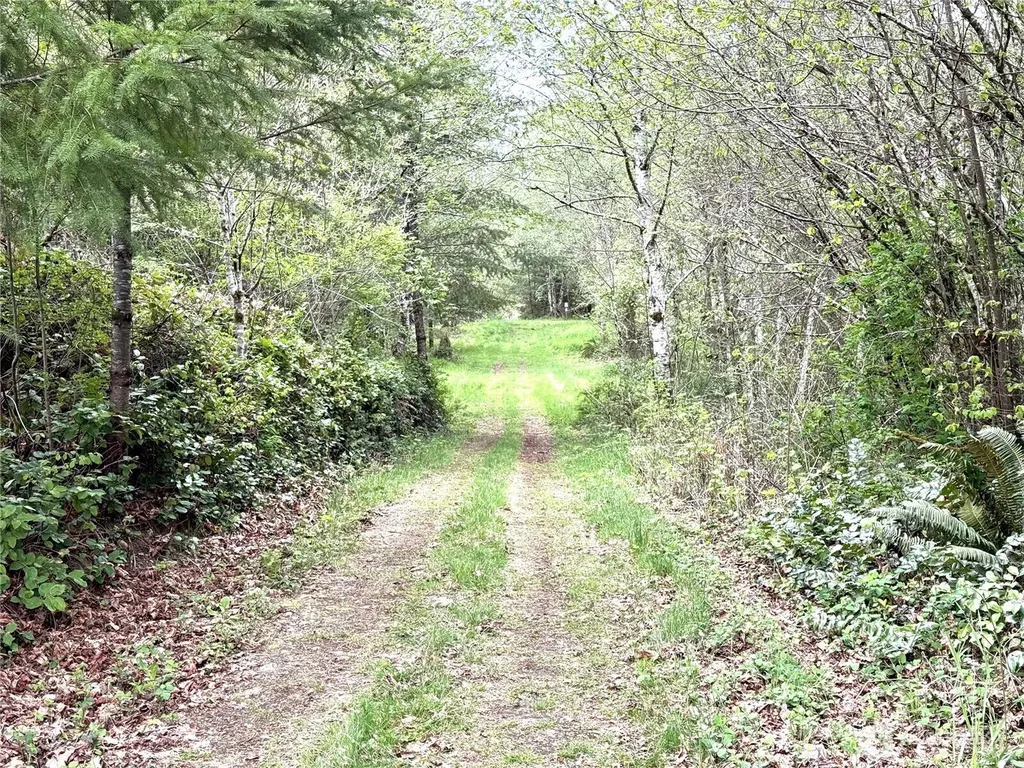 0 40 Acres 143rd Avenue SE Tenino WA 98589