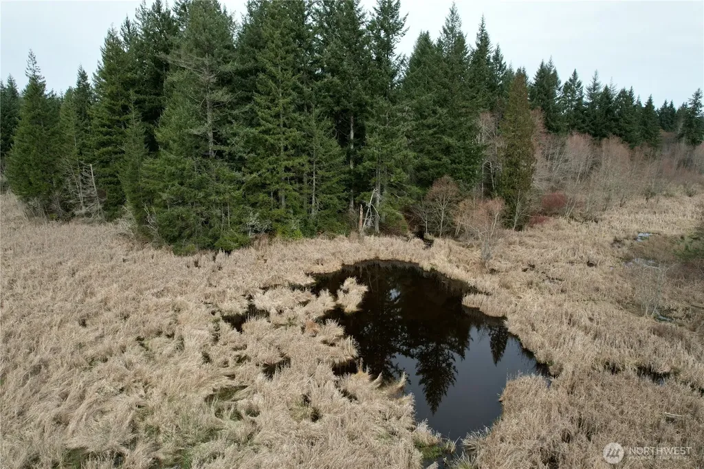 0 40 Acres 143rd Avenue SE Tenino WA 98589
